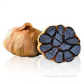 fresh black garlic powder food grade